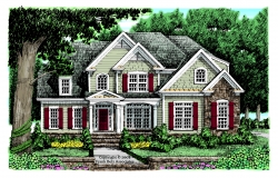 elevation