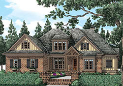 elevation