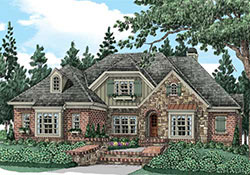 elevation