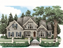 elevation