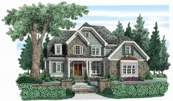 elevation