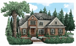 elevation